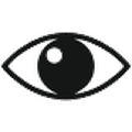 Vision icon